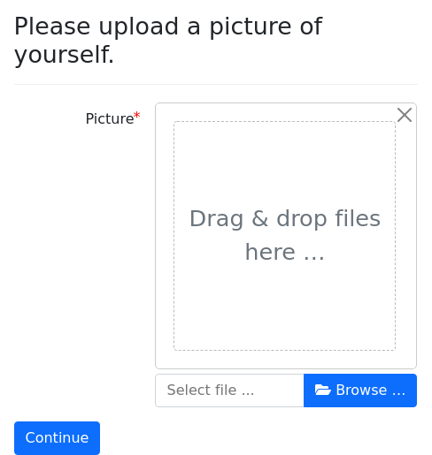 Screenshot of upload-max-image-size-type example